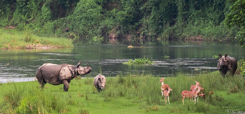 Chitwan