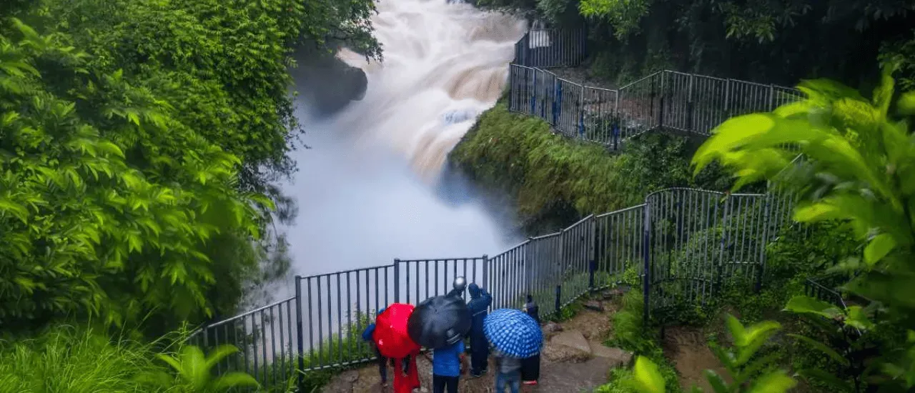 Davis Falls